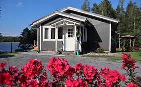 Hattapukki - Villa Himpula